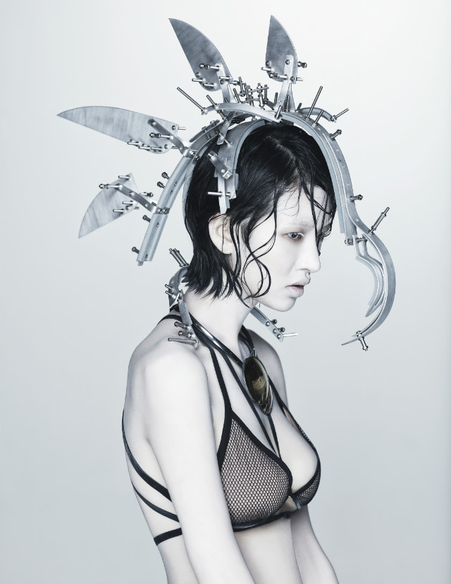 Defensive Measure0072_digital print_110x85cm_2014.jpg