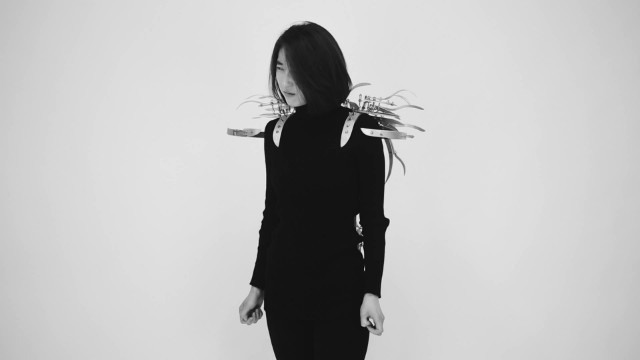 Defensive Measure2016_single channel video_5min._2016.jpg