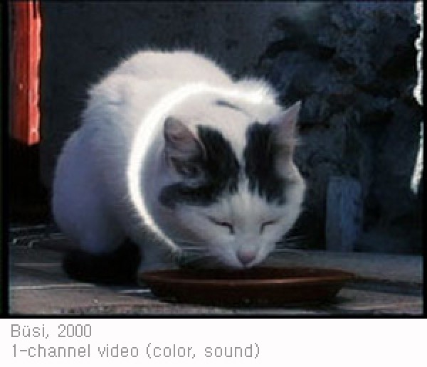 휘슬리와 바이스  / 11.8 - 2011.3.12 / 뮌헨 잠믈룽 괴츠