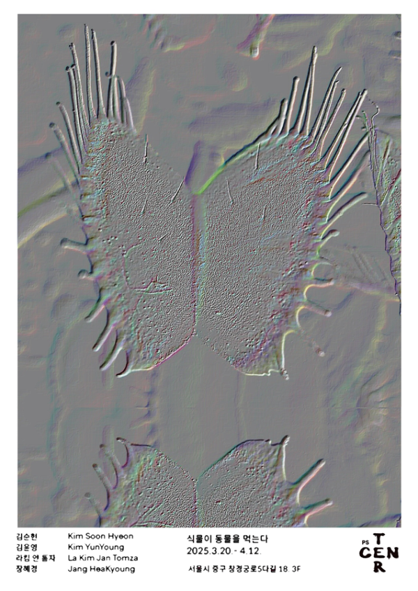 ⟪식물이 동물을 먹는다⟫