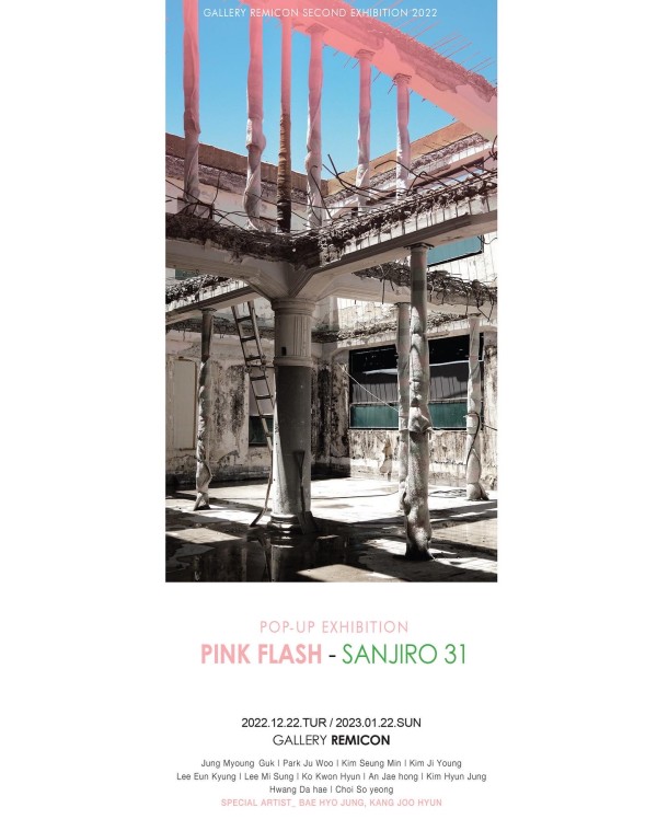 Pink Flash - Sanjiro 31